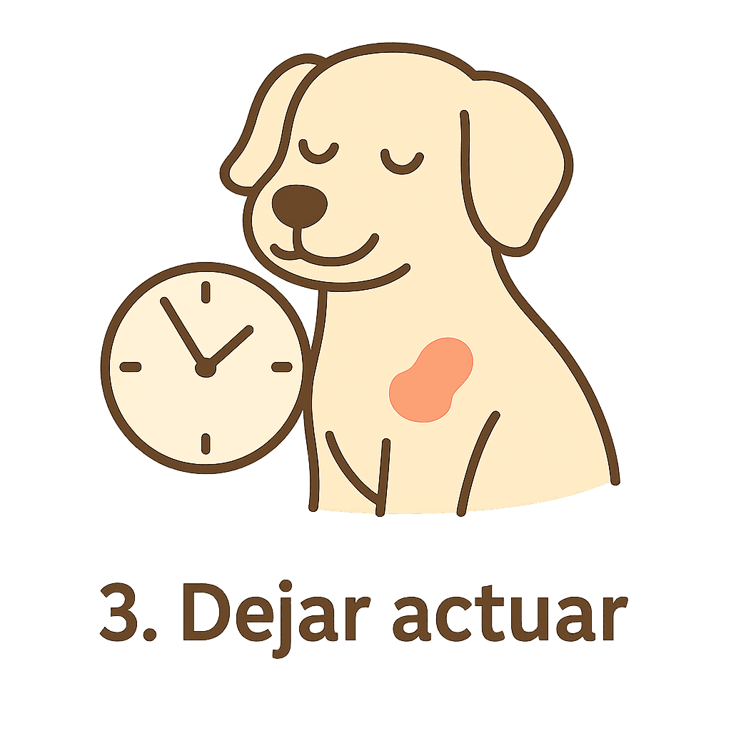 Paso 3: Deje actuar, sin enjuagar.