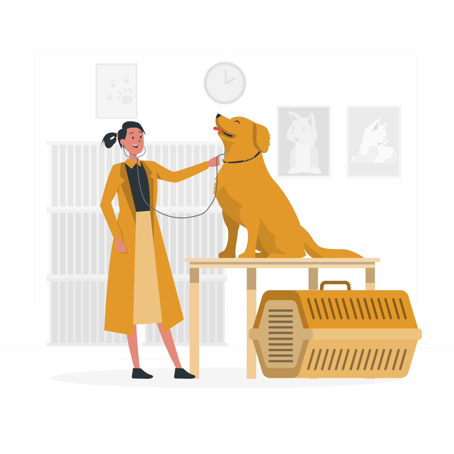 Dra. Natalia Sanhueza, médico veterinaria